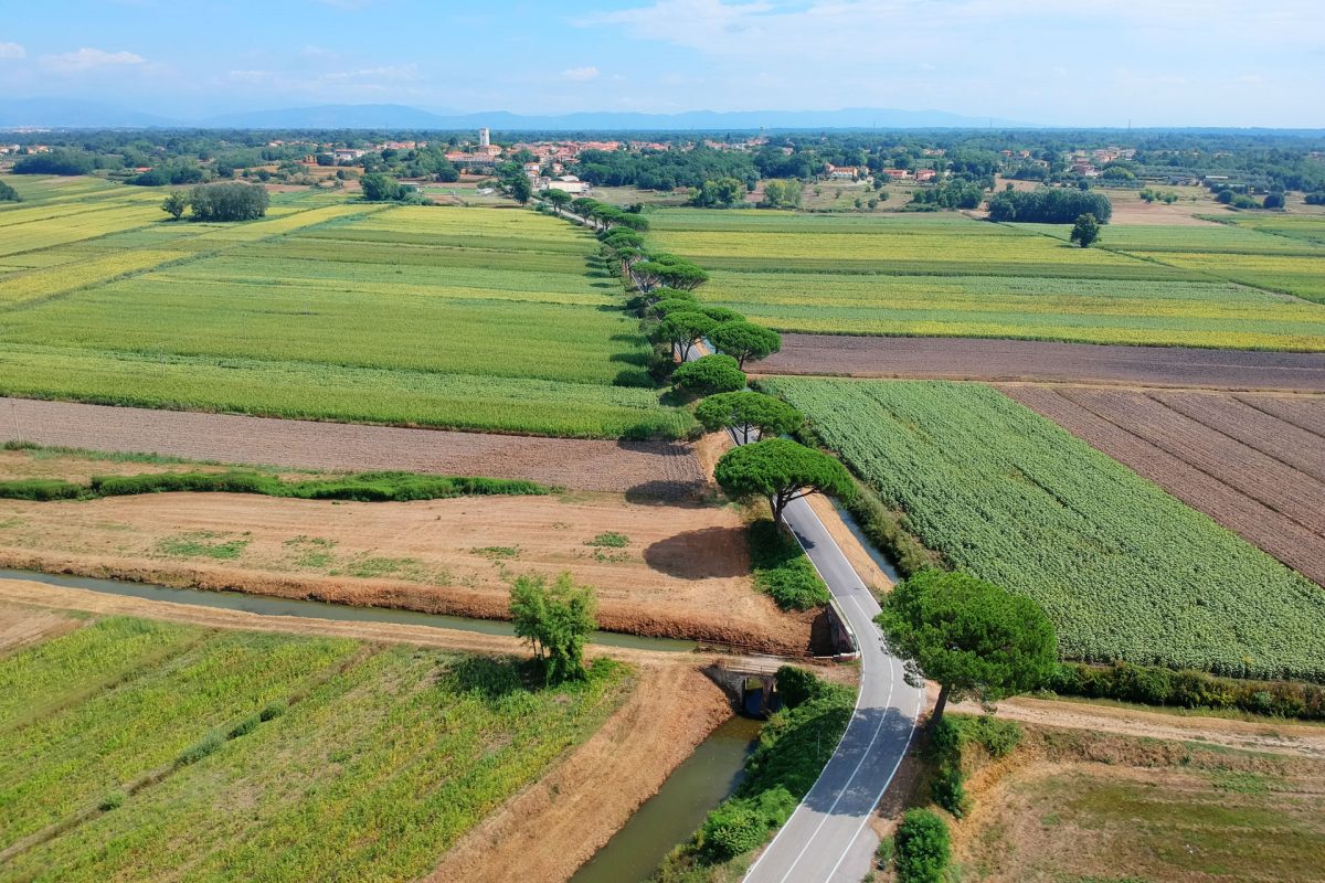 Castelfranco Di Sotto - Valdarnomusei